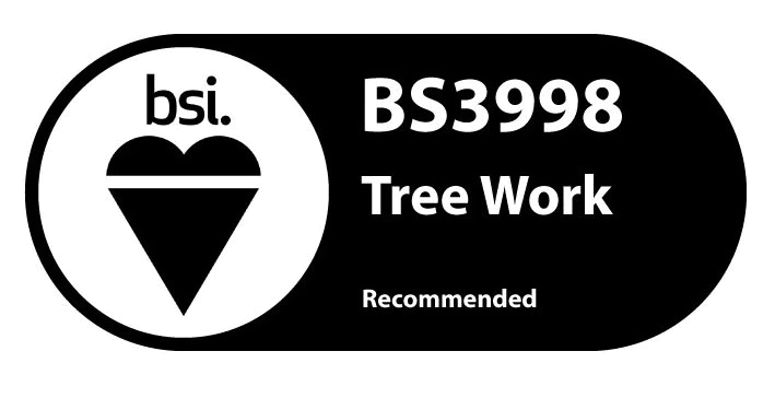 BSI 3998 Logo